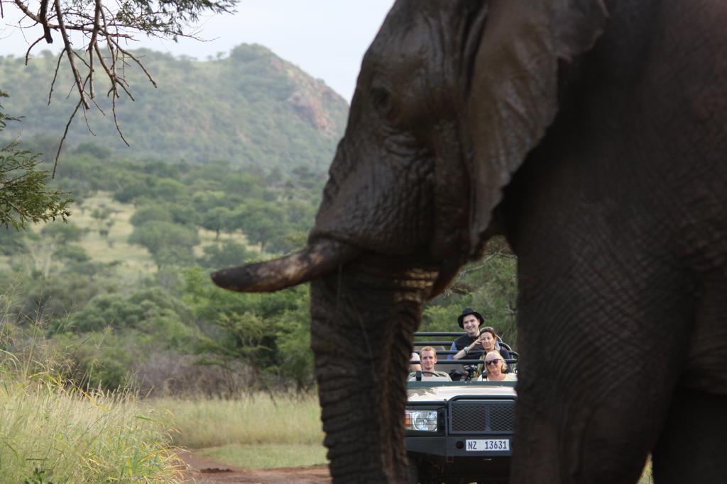 Manyoni Private Game Reserve 레오파드 마운틴 사파리 로지 빌라 외부 사진