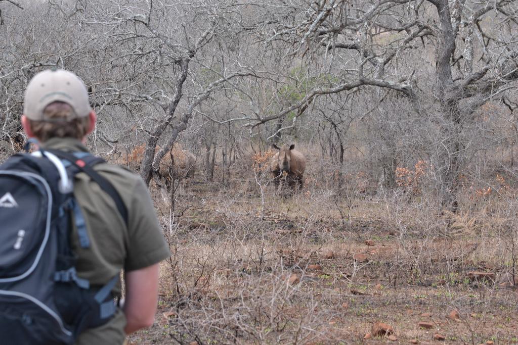 Manyoni Private Game Reserve 레오파드 마운틴 사파리 로지 빌라 외부 사진
