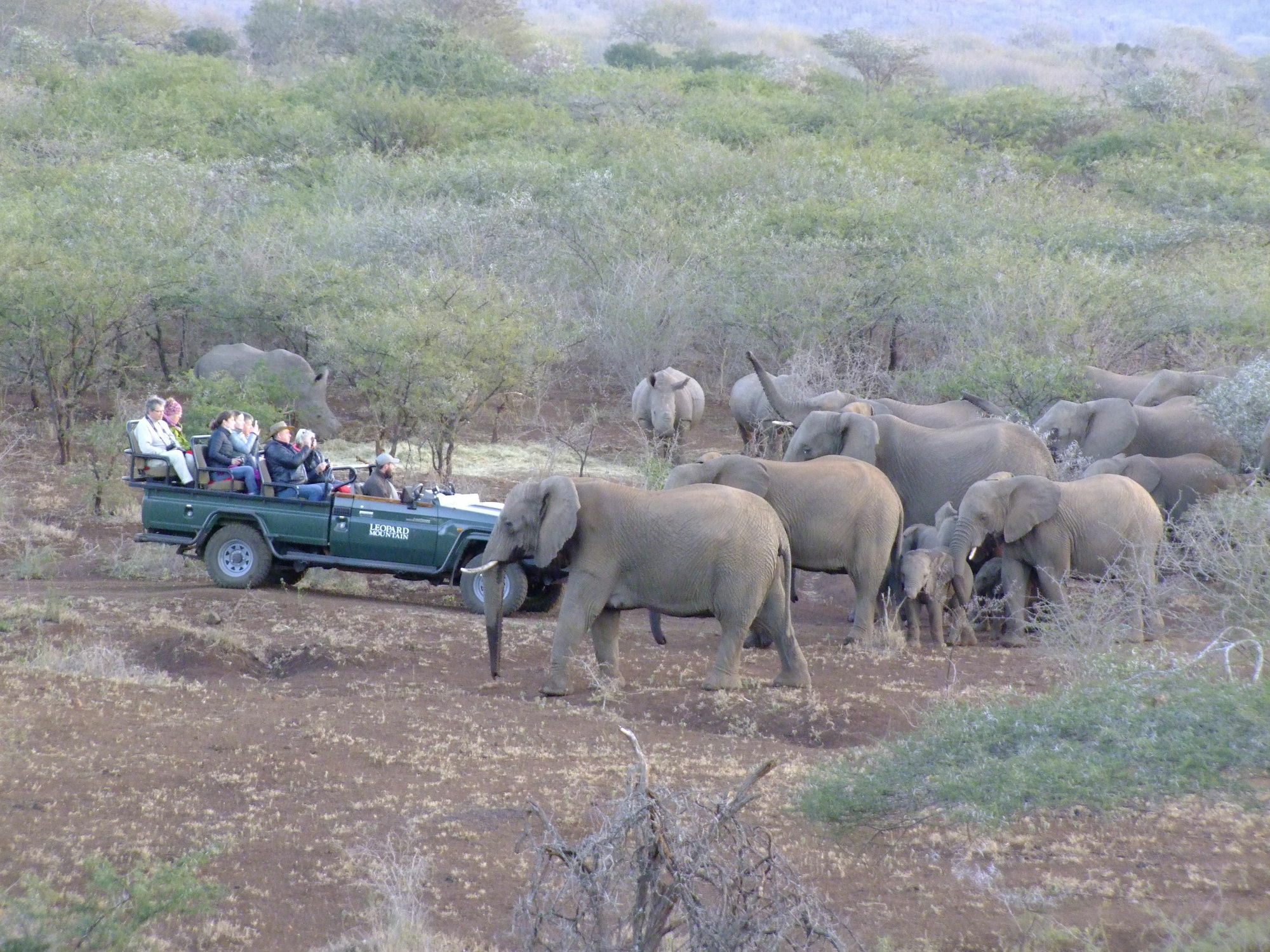 Manyoni Private Game Reserve 레오파드 마운틴 사파리 로지 빌라 외부 사진